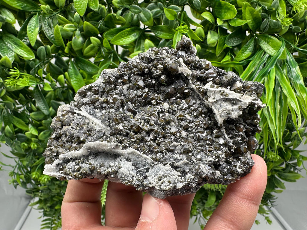 Cleiophane Sphalerite Specimen: Transparent Yellow Green Crystal