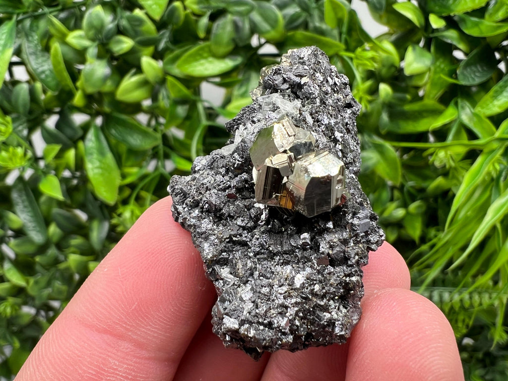 Pyrite Galena Sphalerite Quartz Specimen: Borieva Mine Mineral Decor