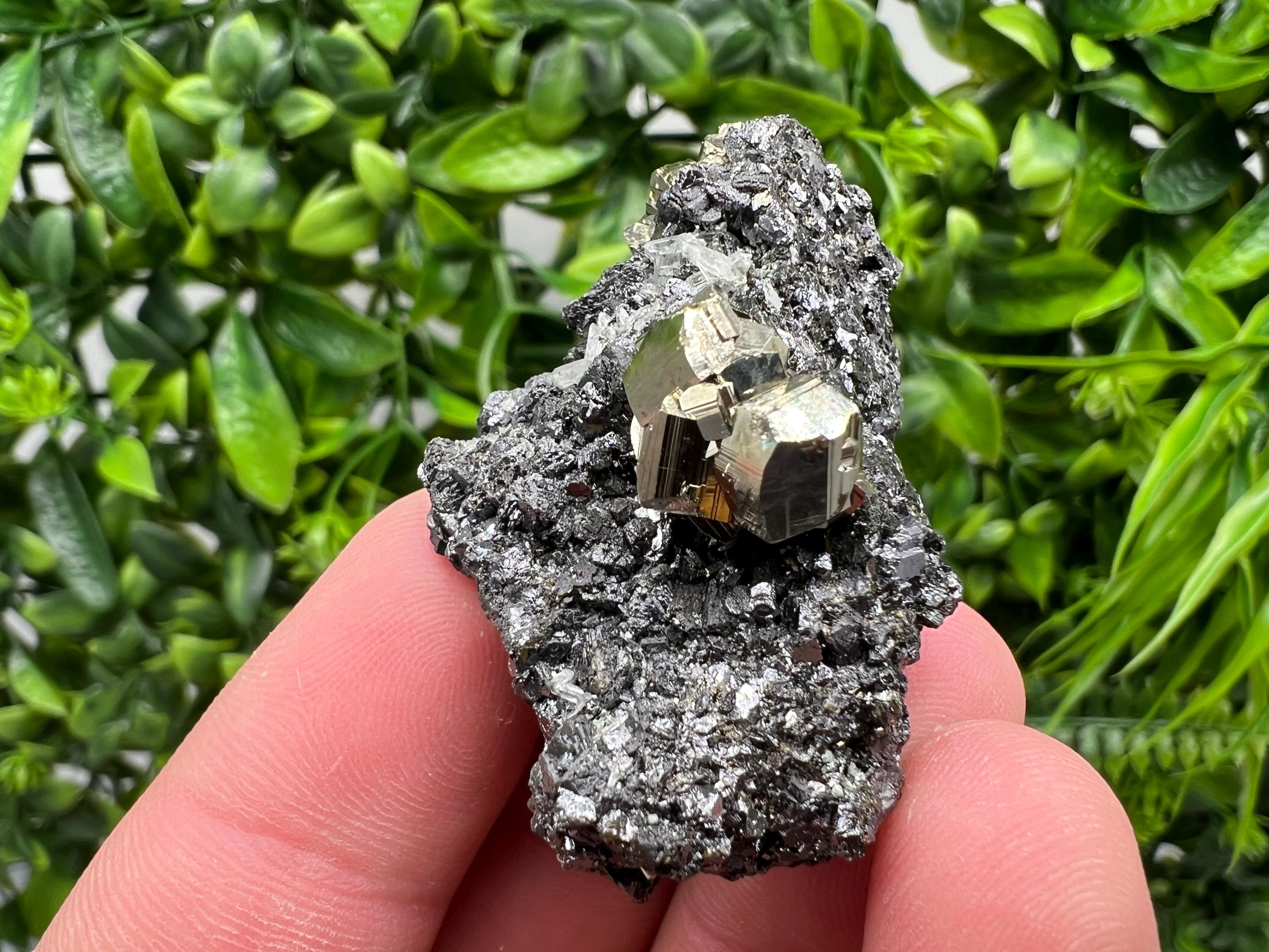 Pyrite Galena Sphalerite Quartz Specimen: Borieva Mine Mineral Decor