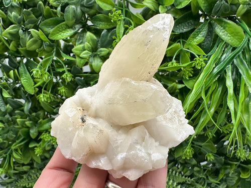 Calcite on Green Quartz: Laki Bulgaria Healing Crystal