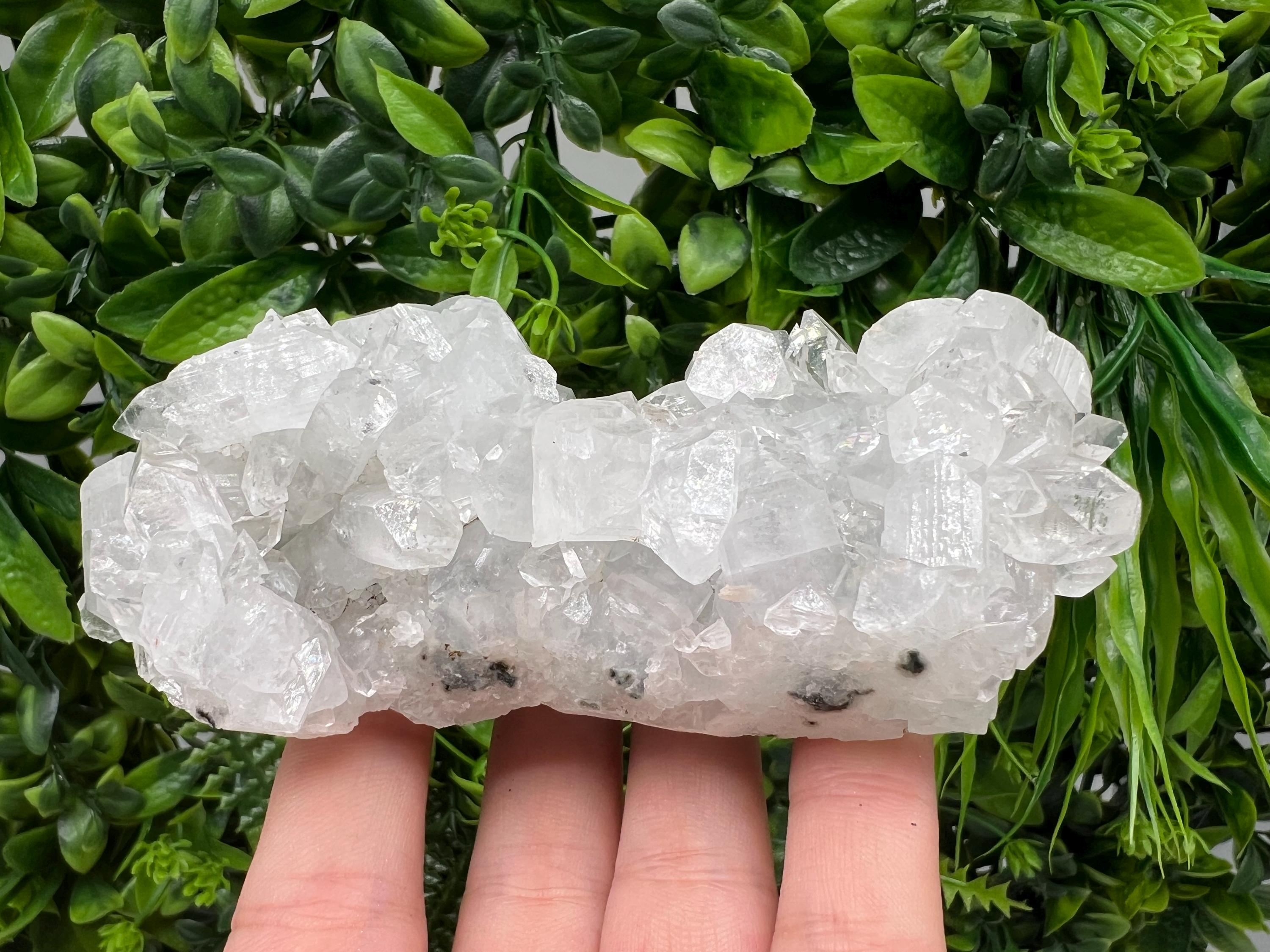 Apophyllite on Chalcedony Specimen: India Minerals Collection