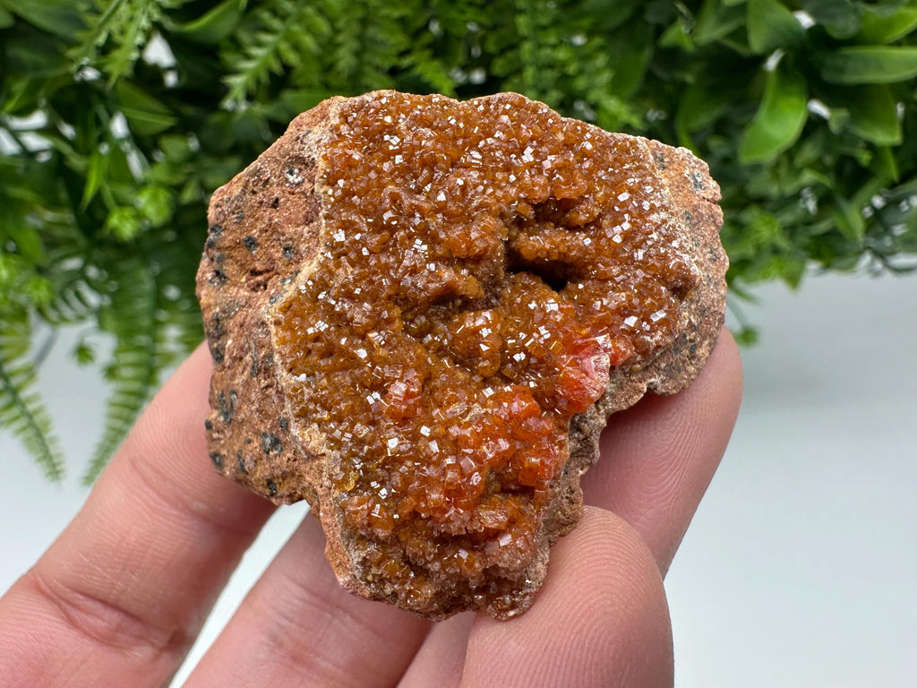 Red Vanadinite on Matrix from Marocco,crystal minerals Speciment cluster Vanadinite crystal Vanadinite Geology Vanadinite cluster minerals