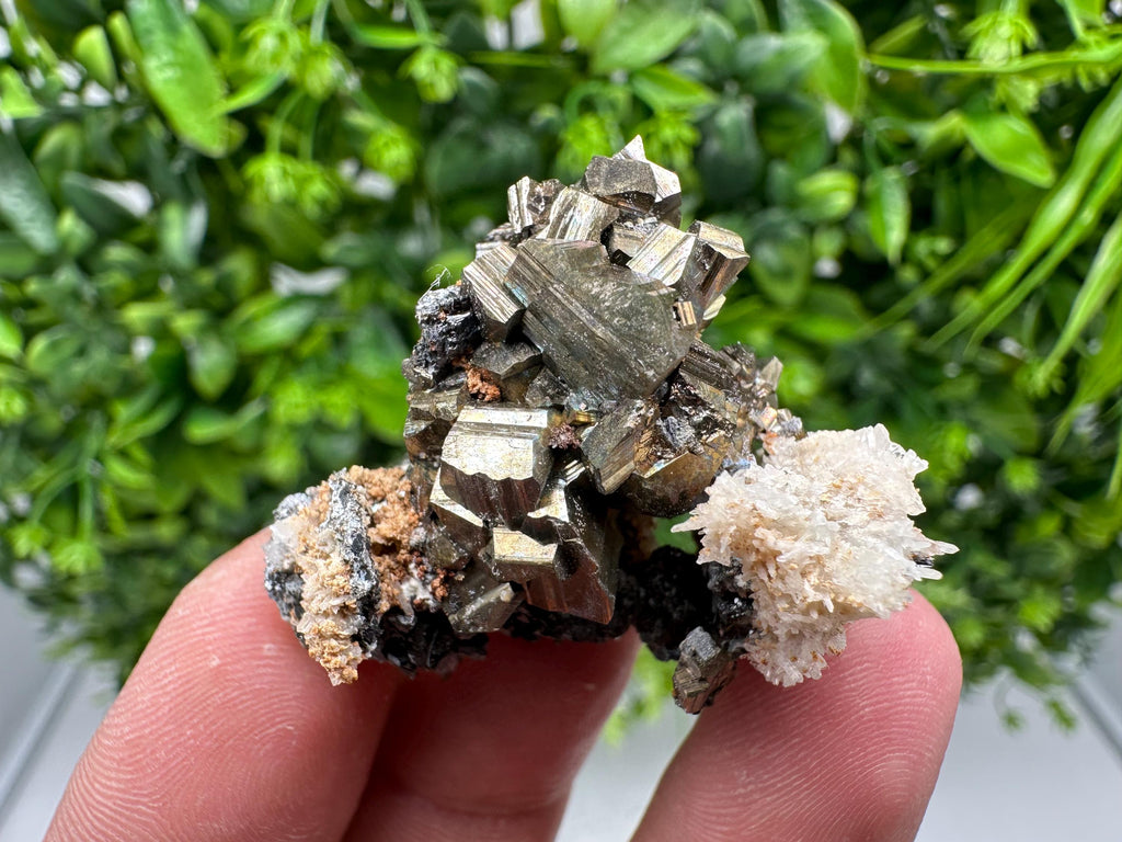 Golden Pyrite,Sphalerite from 9th September mine,Madan,Bulgaria,natural,collectible mineral specimen,home decor crystal,Pyrite cluster,