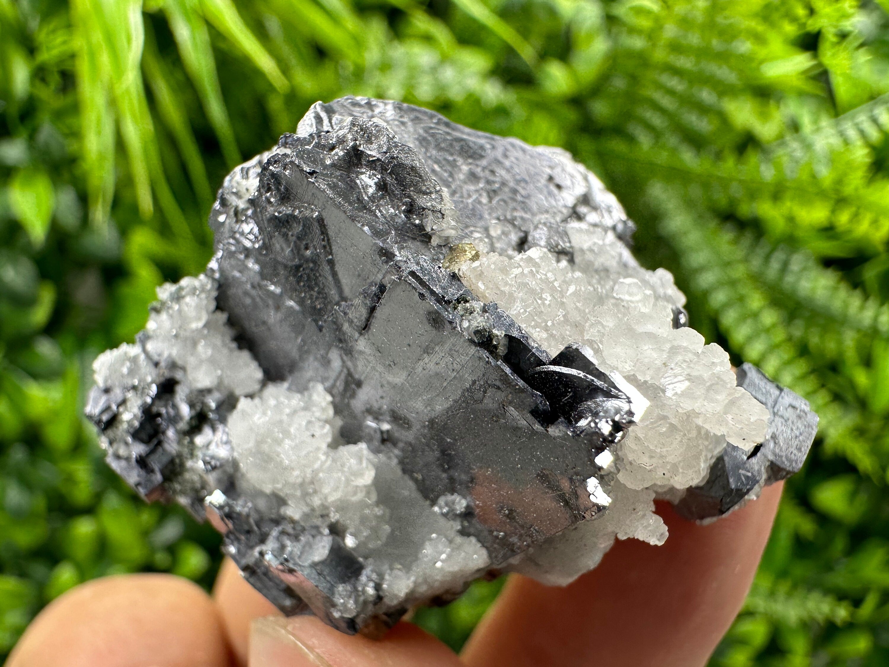 Galena with Calcite: Natural Mineral Specimen, Borieva Mine, Bulgaria