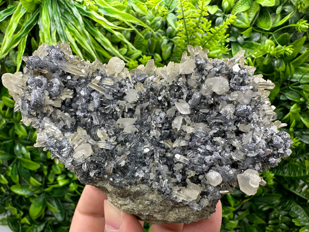 Calcite Quartz on Galena Mineral Specimen: Borieva Mine, Bulgaria