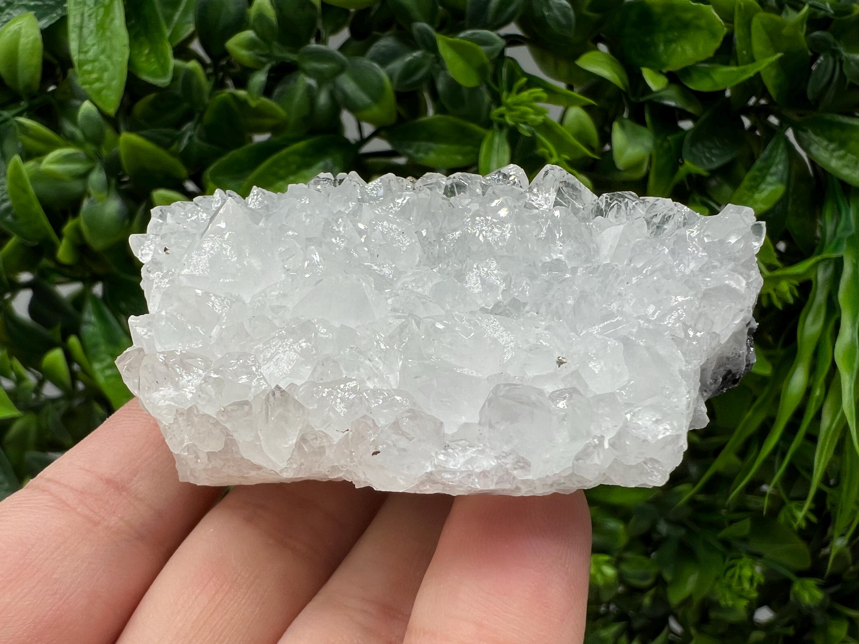 Transparent Quartz on Chlorite Matrix, Borieva Mine, Bulgaria