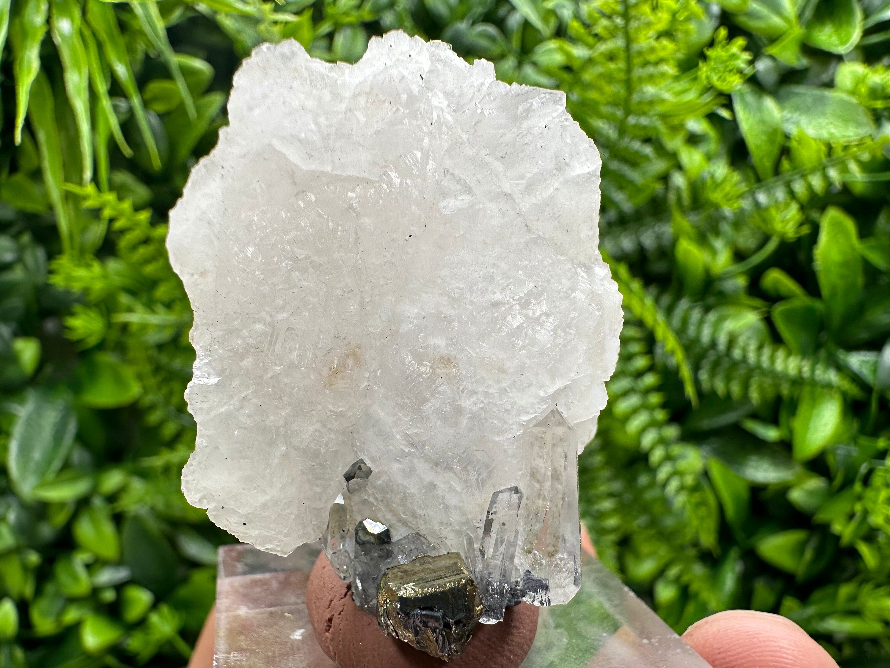 Mangano Calcite Wing on Quartz with Pyrite, Madan Bulgaria Mineral Specimen