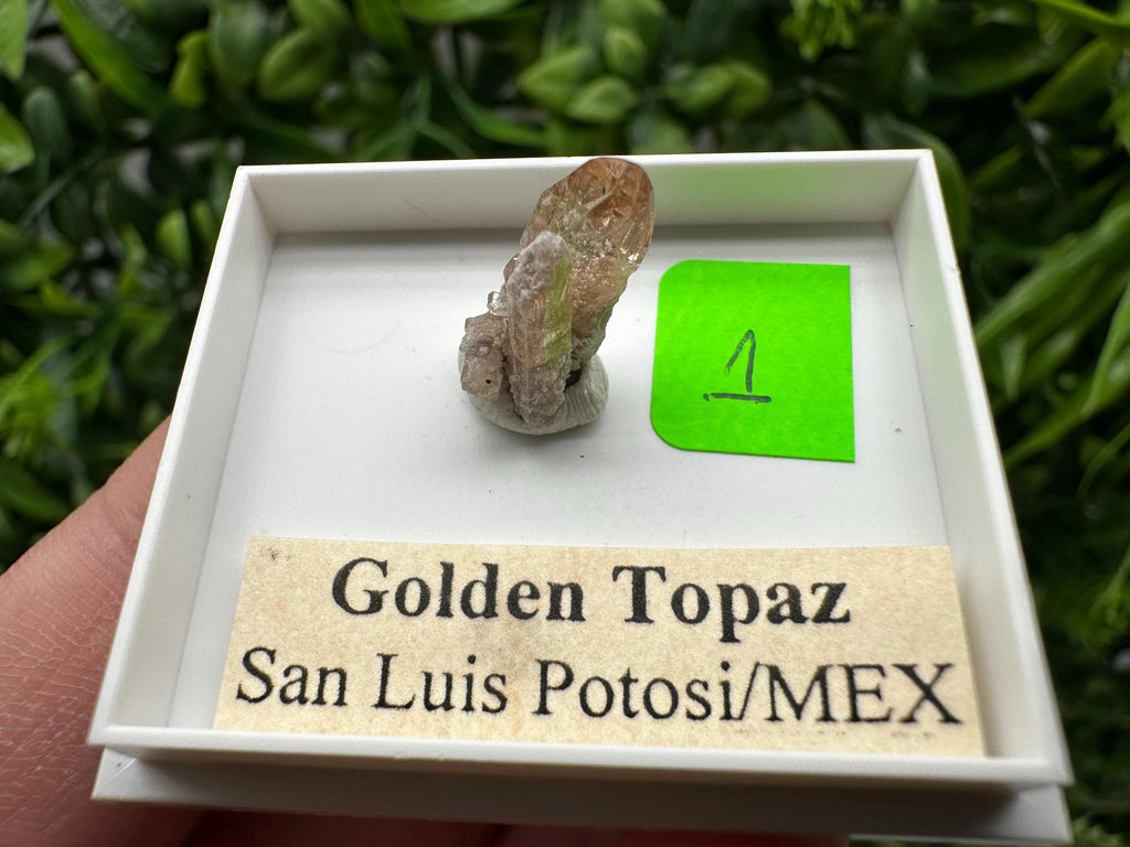 Golden Topaz Crystal, Mineral Specimen from Mexico
