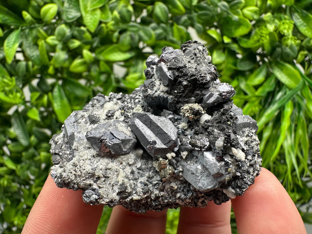 Stunning Shpinel Galena on Sphalerite from Borieva mine,Madan,Bulgaria,Natural,collectible mineral specimen,home decor,collectible’s crystal