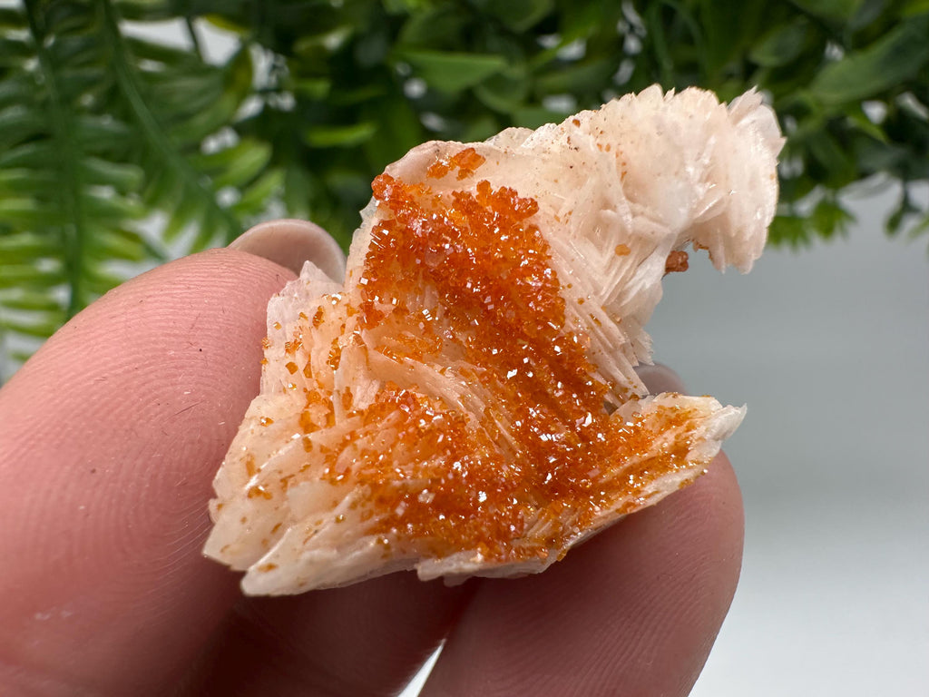 Red Vanadinite on Barite, Moroccan Crystal Specimen