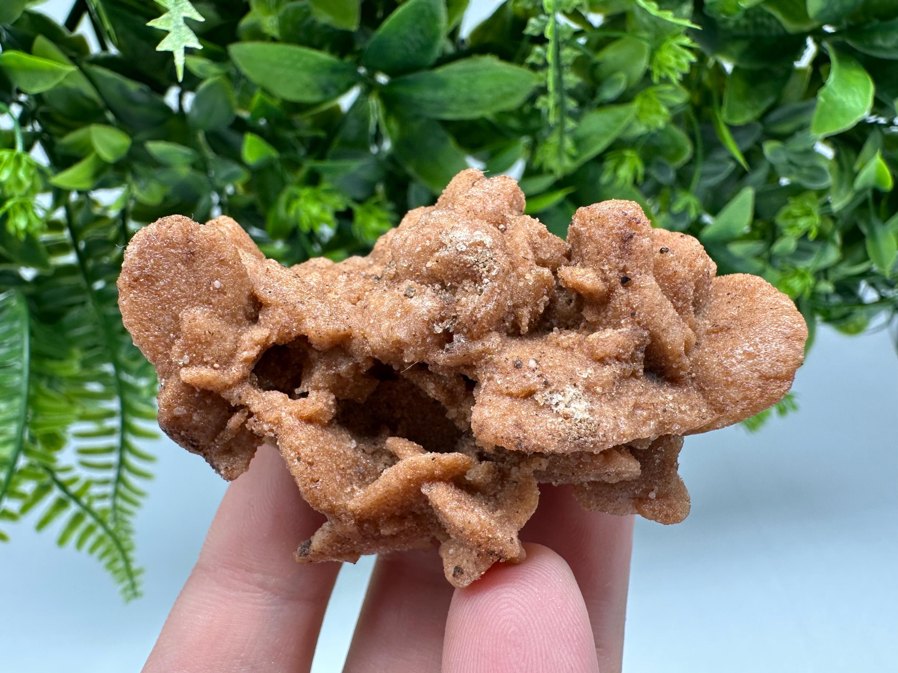 Natural Desert Rose Crystal - Root Chakra Healing Selenite Stone