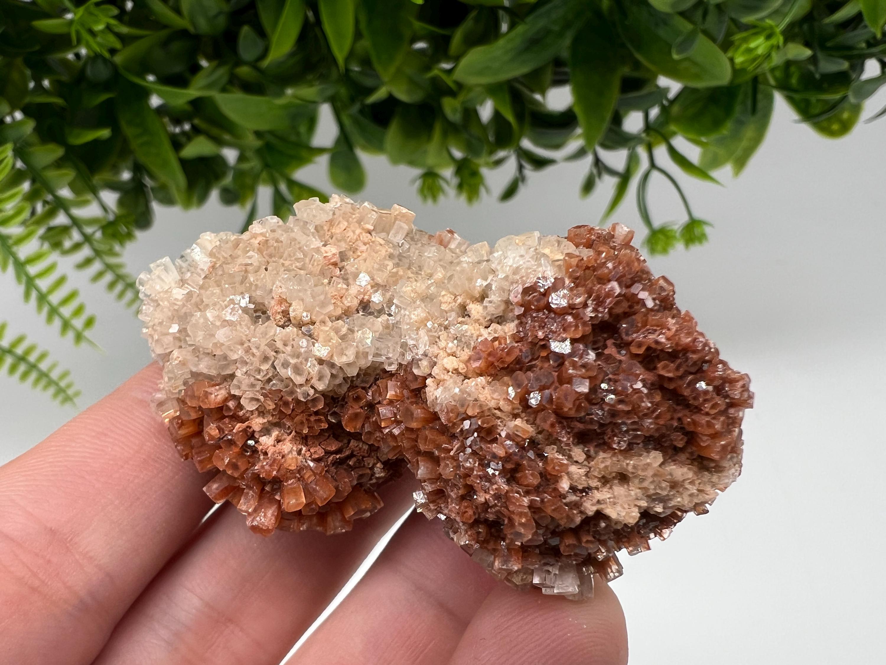 Large Aragonite Sputnik Cluster: Raw Moroccan Crystal Stone