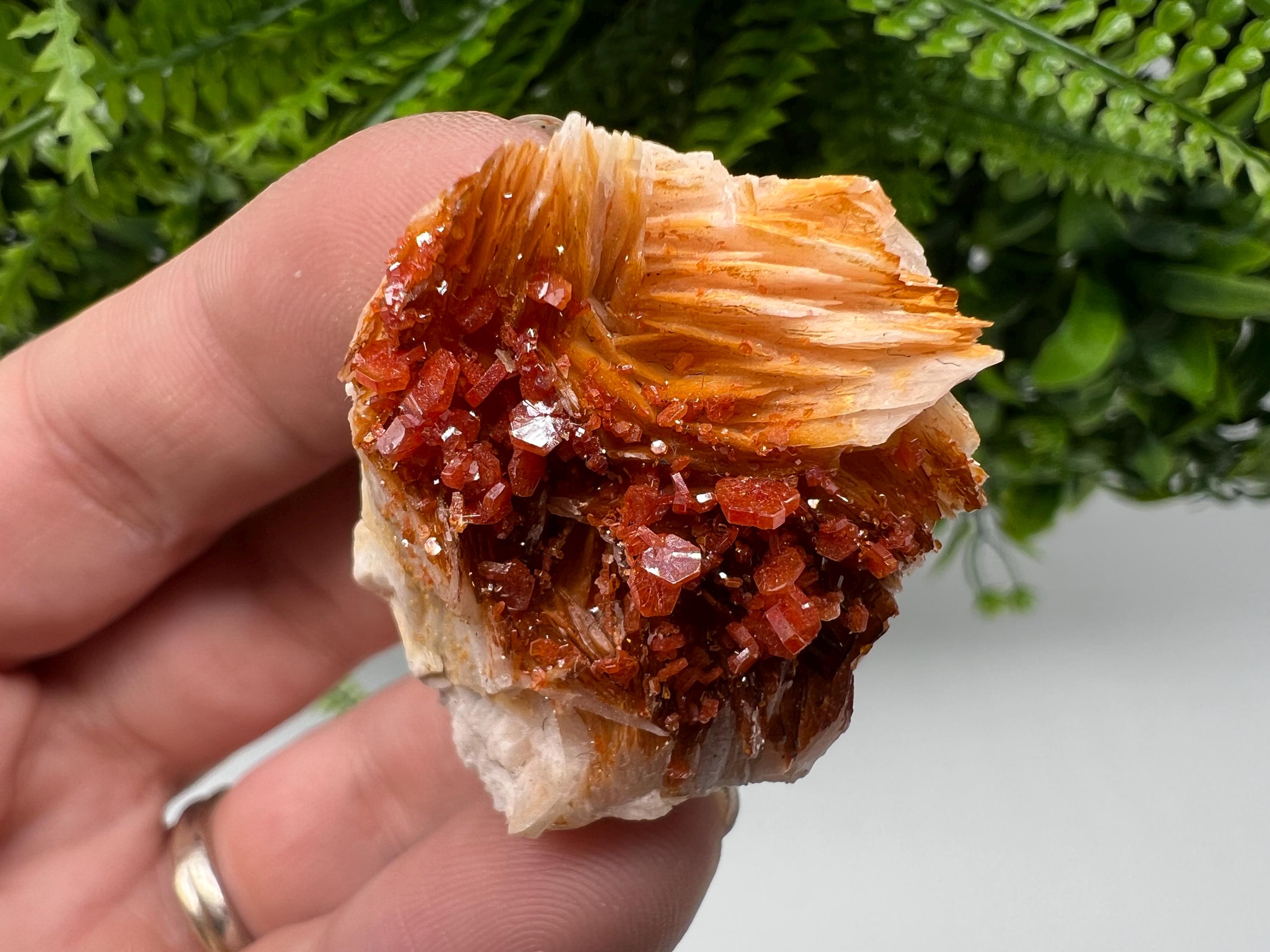 Red Vanadinite on Barite from Marocco,crystal minerals Speciment cluster Vanadinite crystal Vanadinite Geology Vanadinite cluster minerals