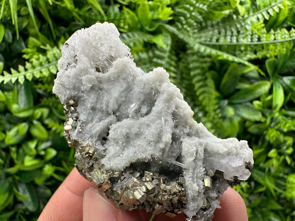 Pyrite on Quartz: Borieva Mine Crystal Home Decor