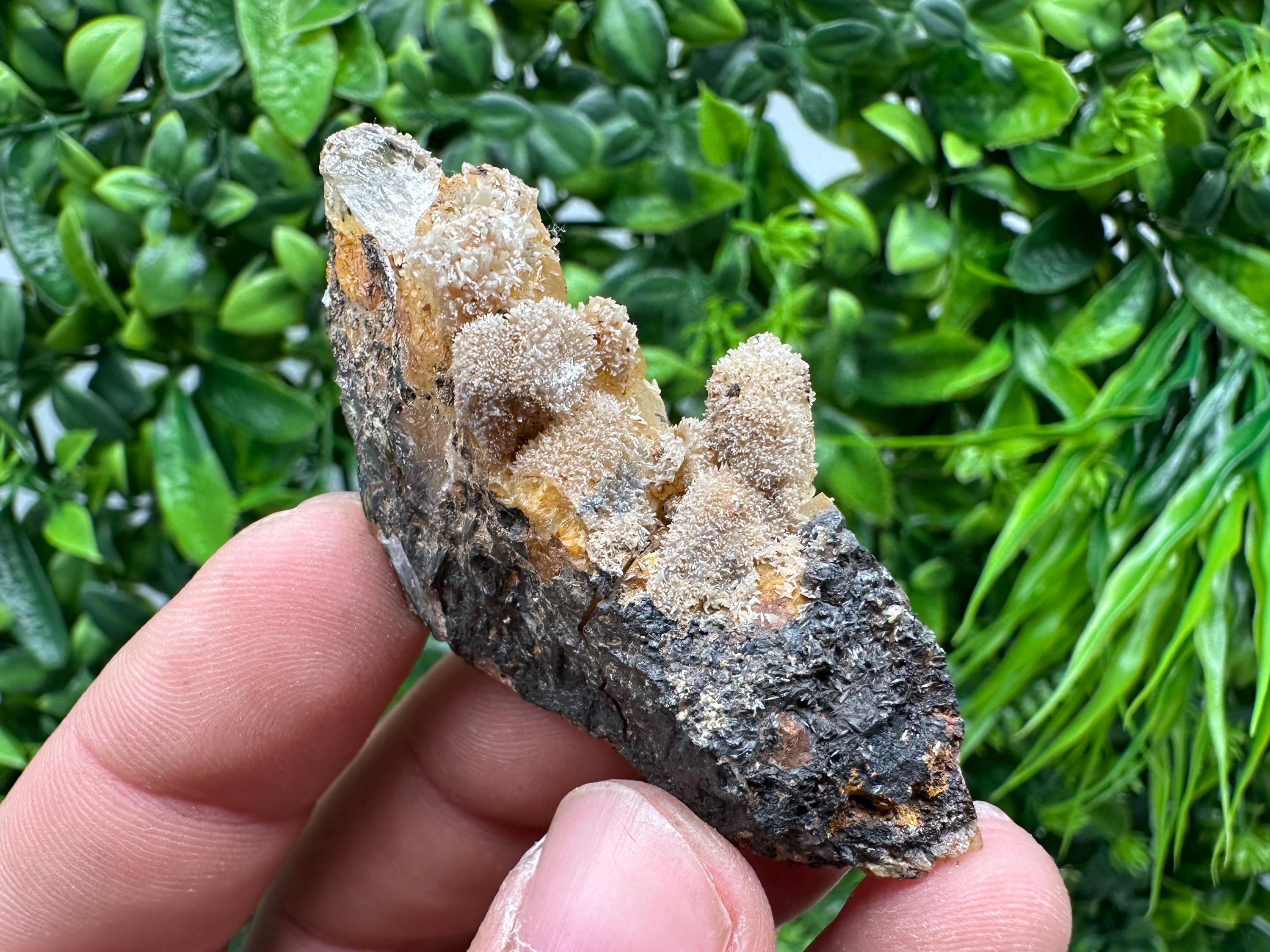 Rare Green/Yellow Pyromorphite & Hematite on Quartz - Madjarovo Mine, Bulgaria