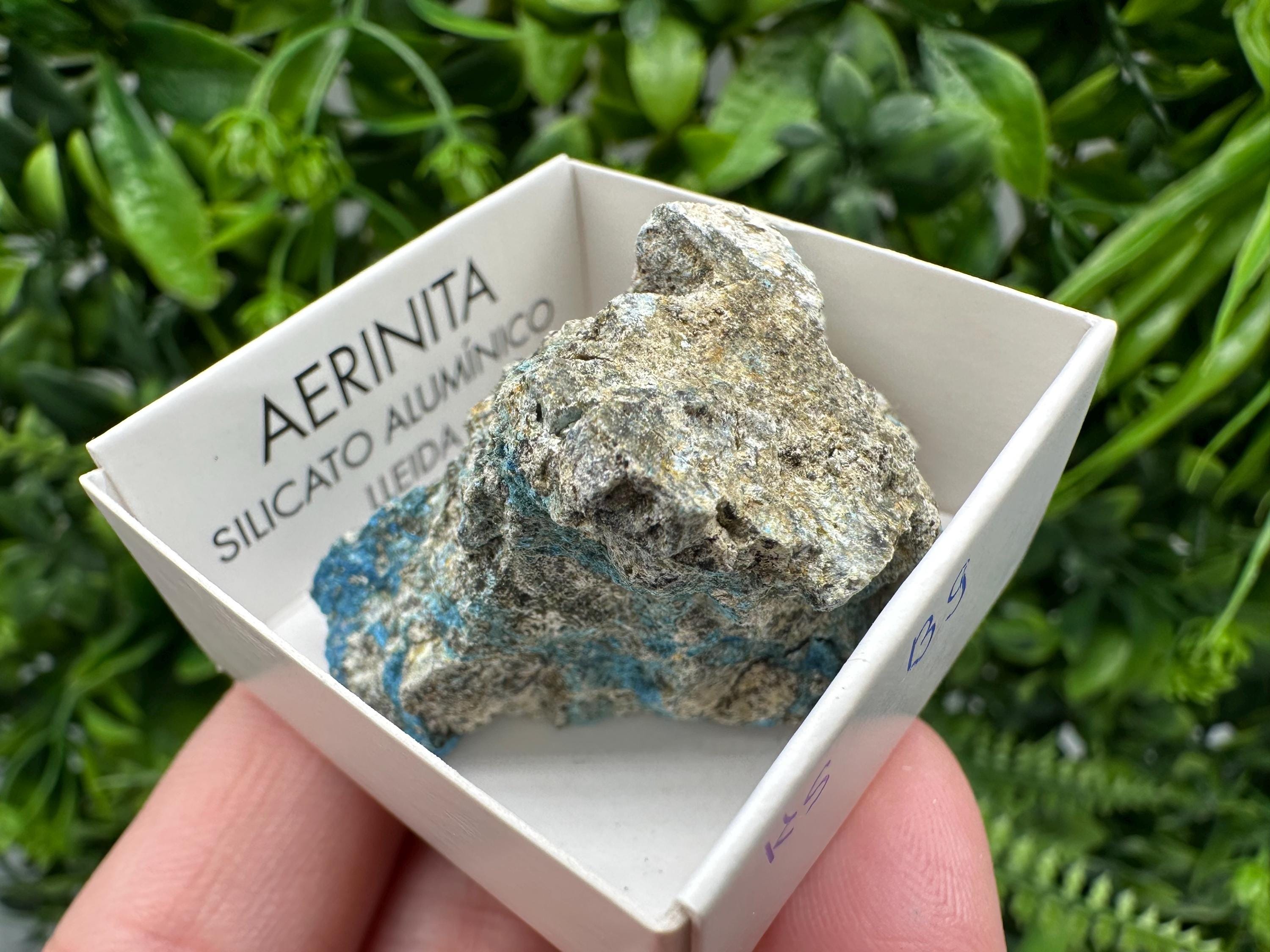 Rare Raw Aerinite Mineral Specimen: Lleida, Spain Crystal