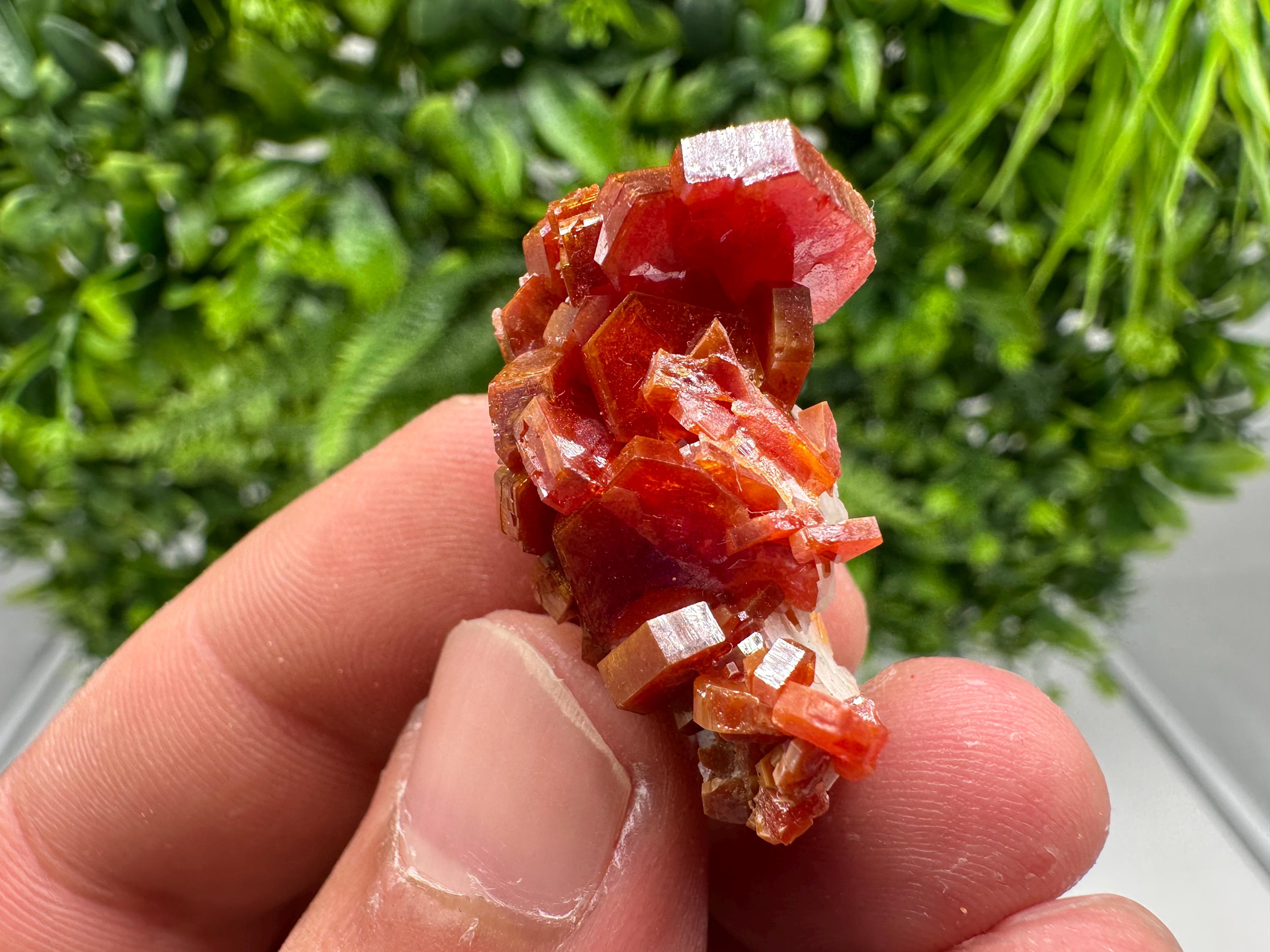 Red Vanadinite on Barite from Marocco,crystal minerals Speciment cluster Vanadinite crystal Vanadinite Geology Vanadinite cluster minerals