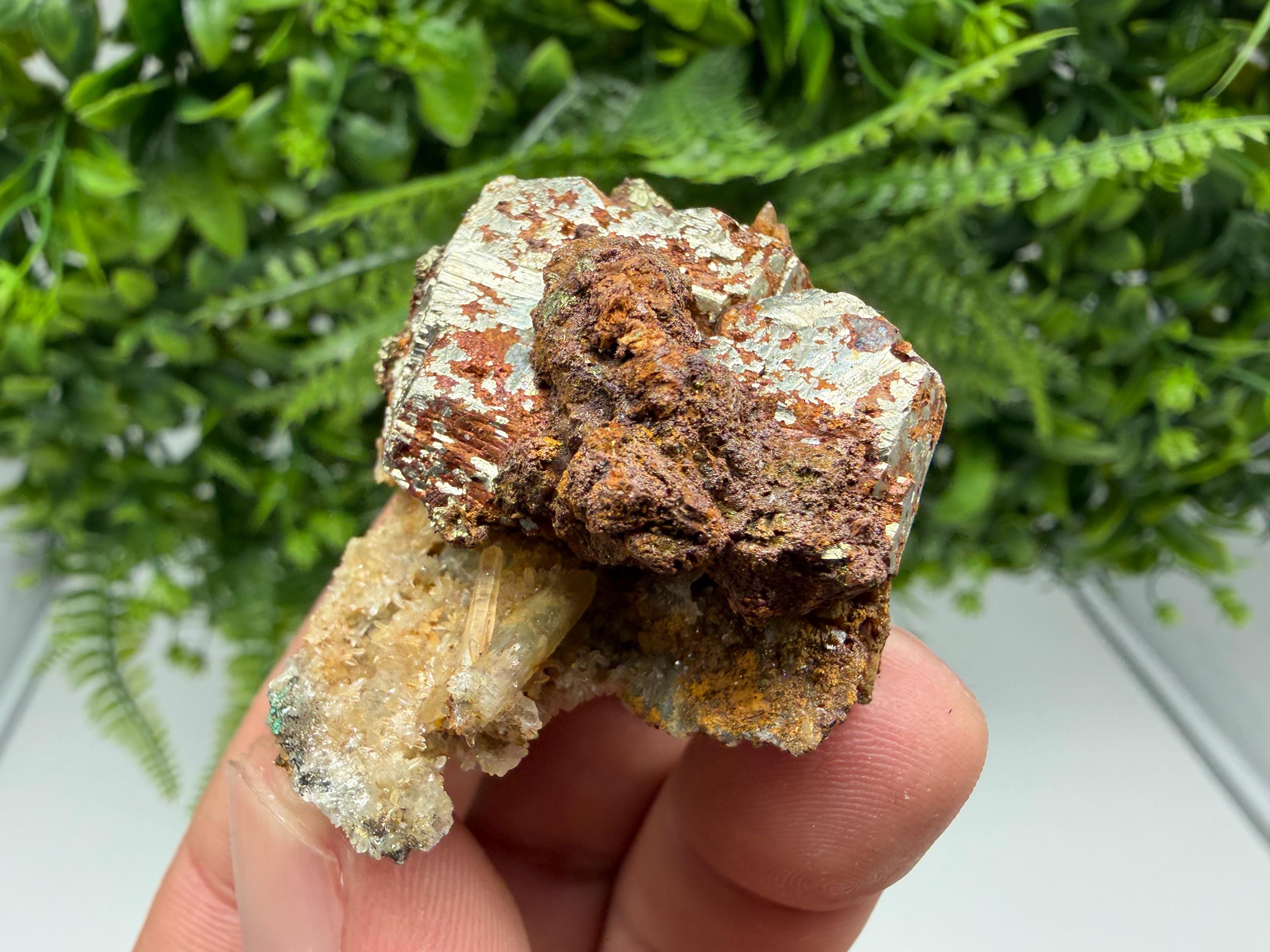 Rainbow Pyrite with Quartz, Borieva Bulgaria Mineral Specimen