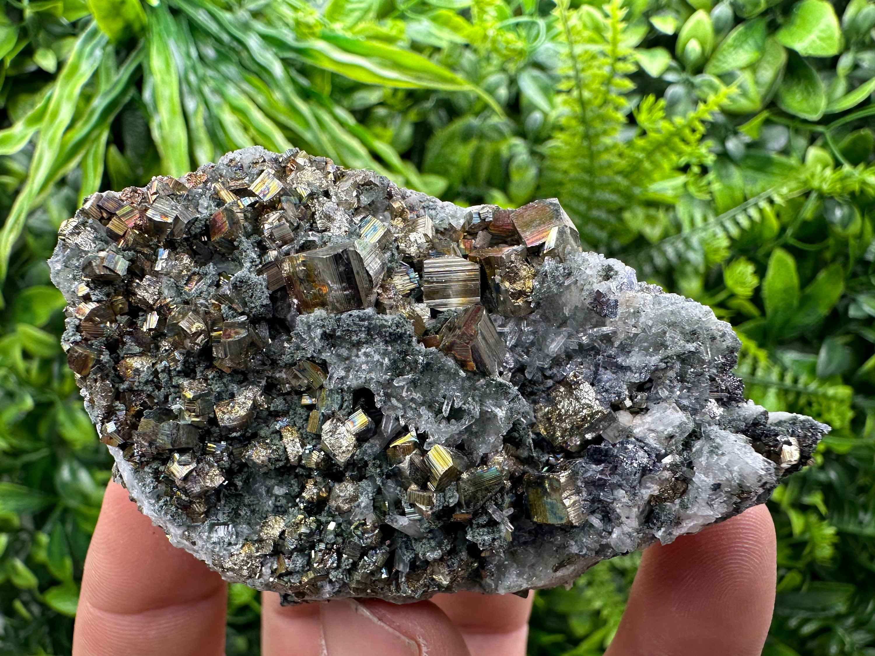 Pyrite on Green Quartz, Borieva Mine Bulgaria, Mineral Specimen
