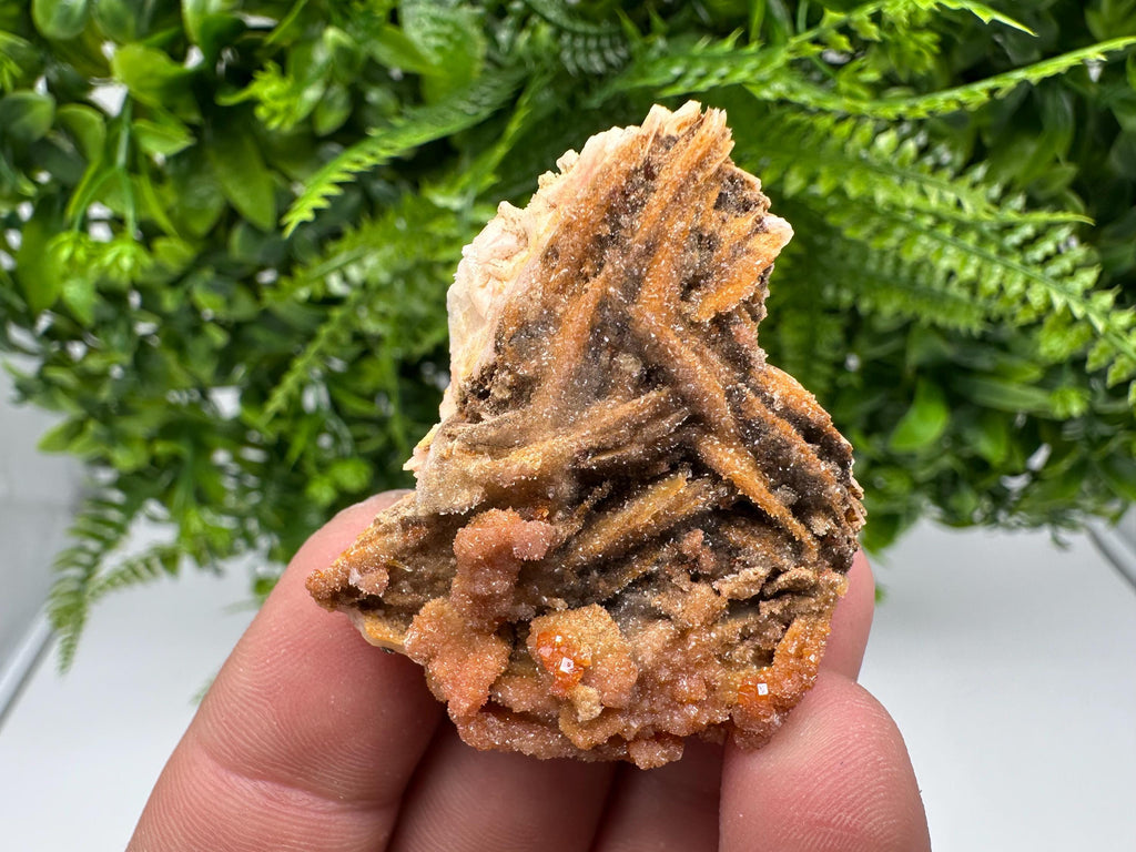Red Vanadinite on Barite, Morocco Crystal Specimen