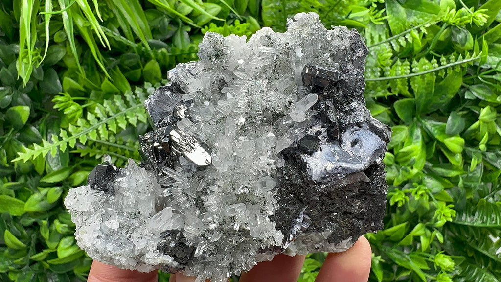 Sphalerite, Mirror Galena on Quartz, Bulgaria Minerals, Crystal Decor (9/7/7 cm)