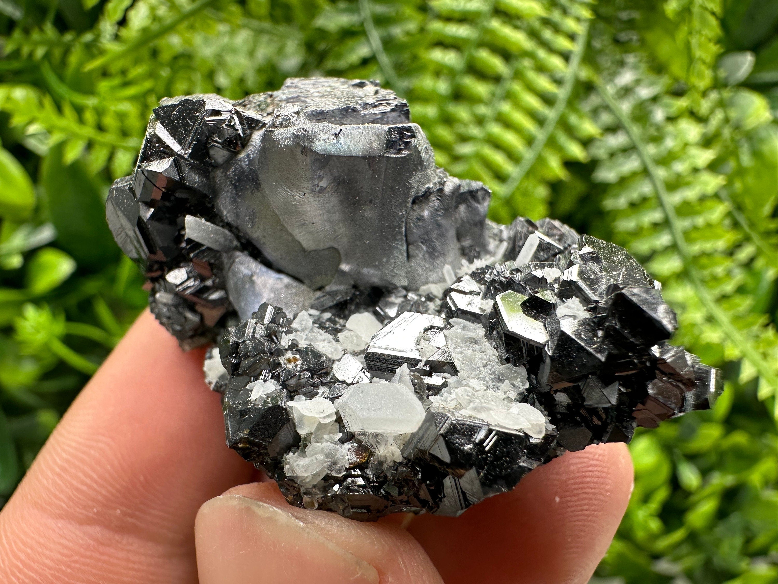 Mirror Galena on Sphalerite with Quartz, Borieva Mine Mineral Specimen