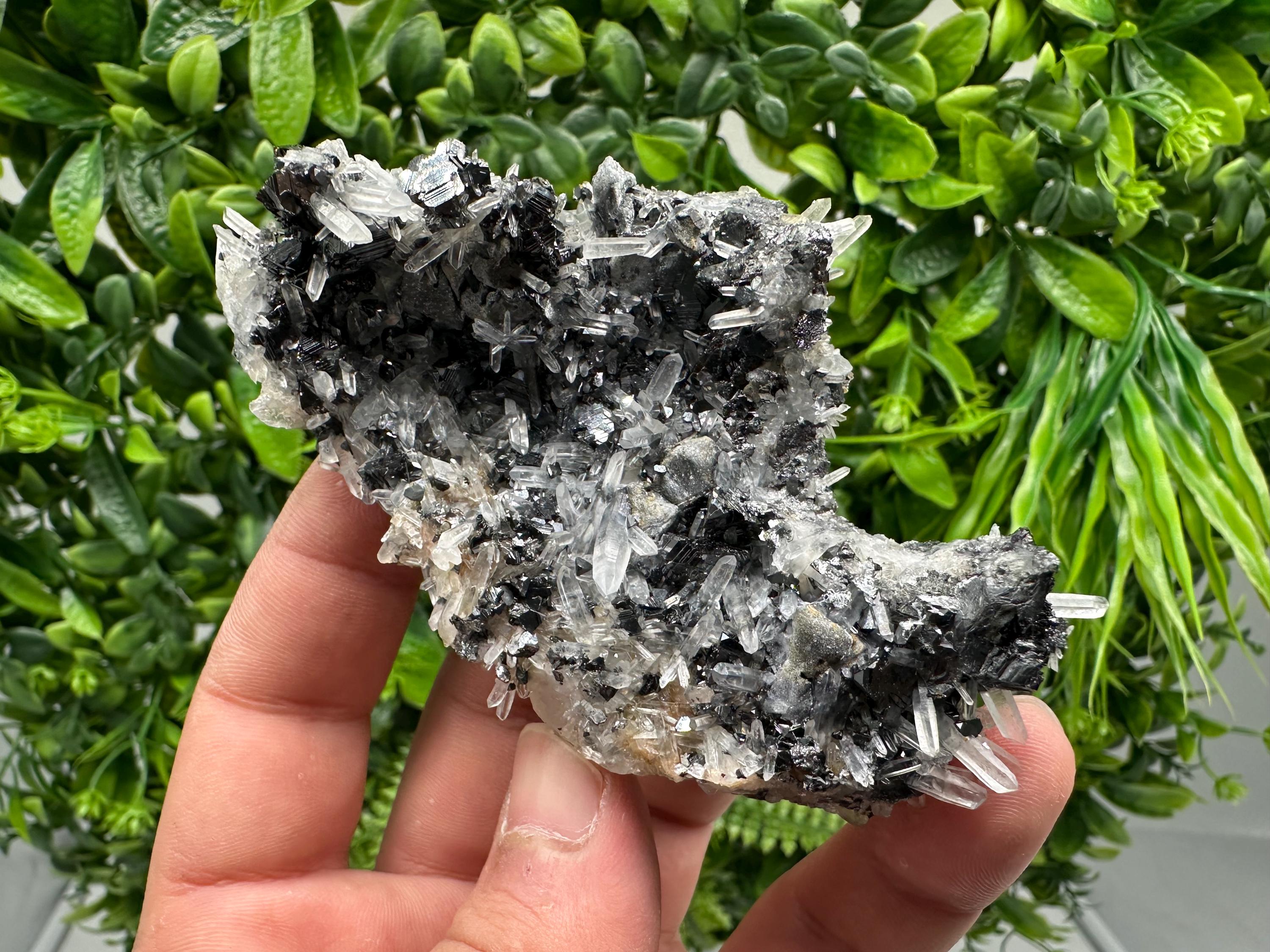 Wonderful Sphalerite Chalcopyrite on  Quartz whit Galena feom 9 th September mine,Bulgaria,natural,collection mineral specimen,gift