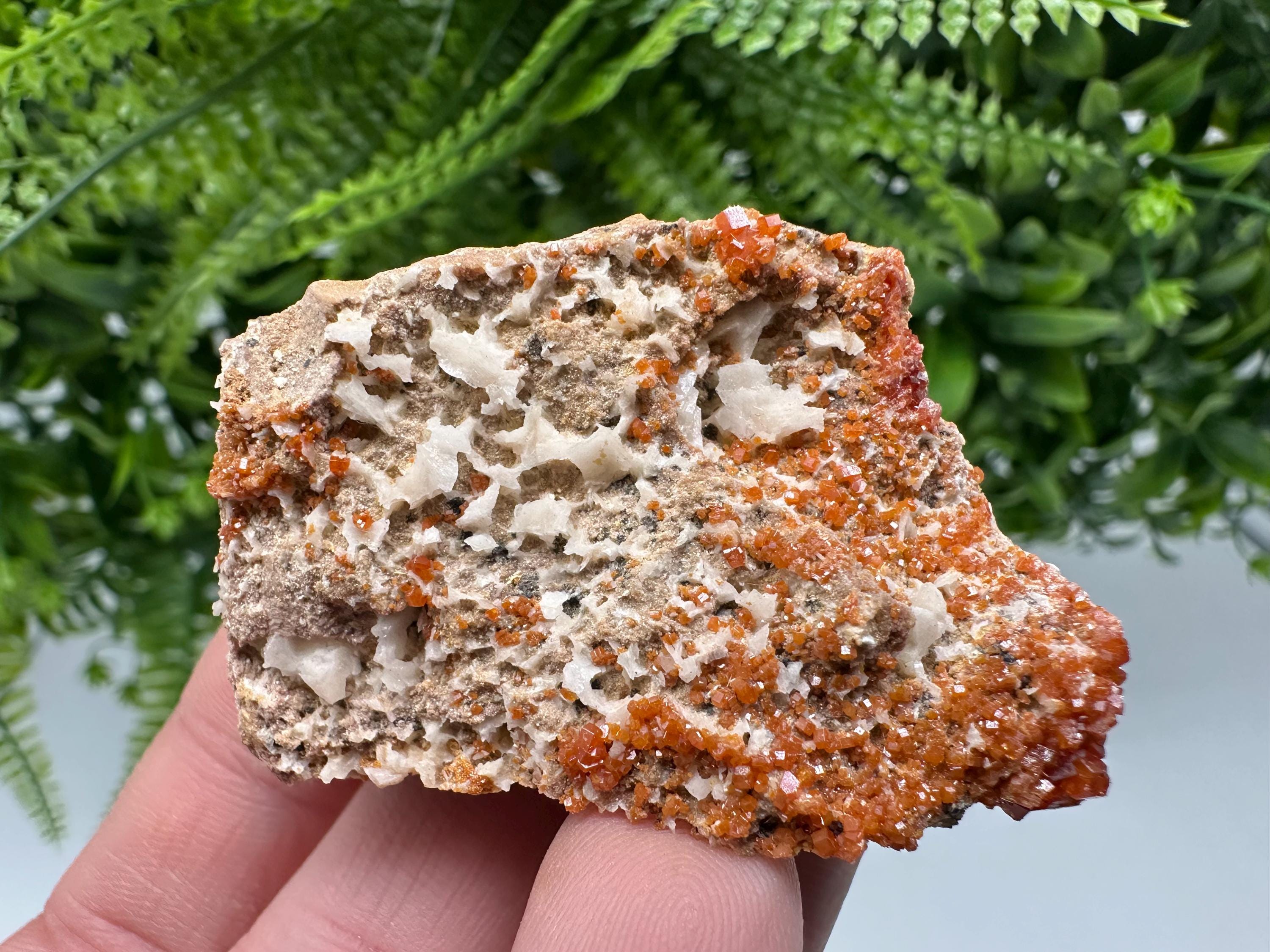Red Vanadinite on Matrix from Marocco,crystal minerals Speciment cluster Vanadinite crystal Vanadinite Geology Vanadinite cluster minerals