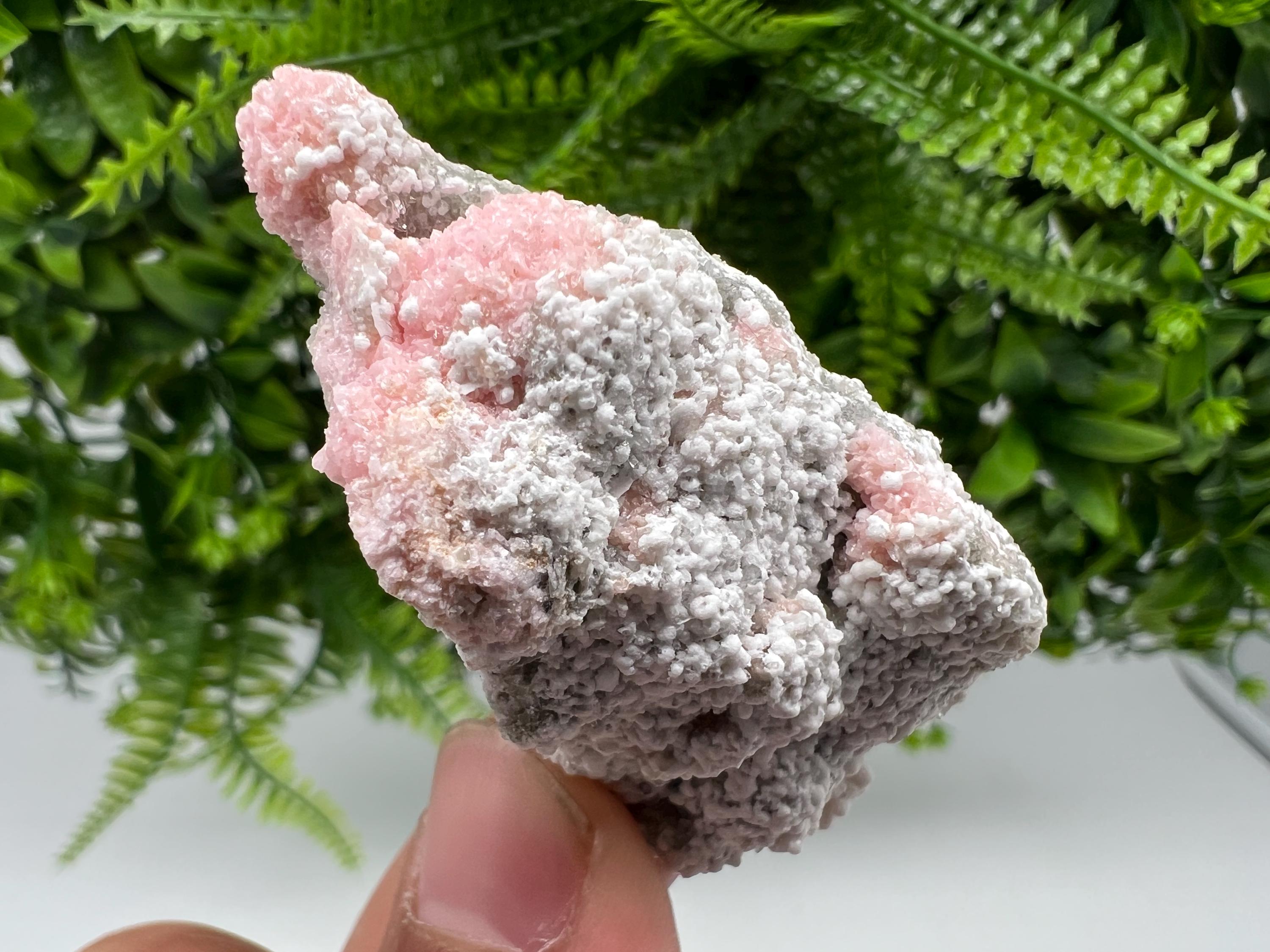 RARE Rhodochrosite with White Calcite, Starnica Mine Bulgaria