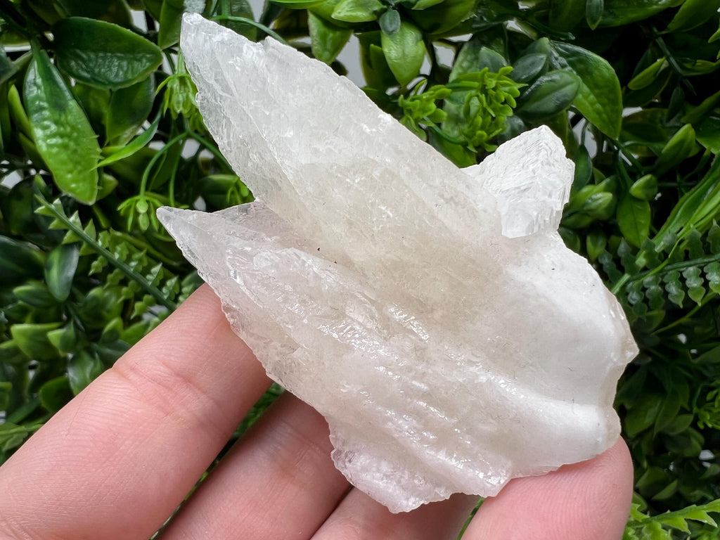 Calcite on Green Quartz: Djurcovo Mine, Bulgaria - Healing Crystal
