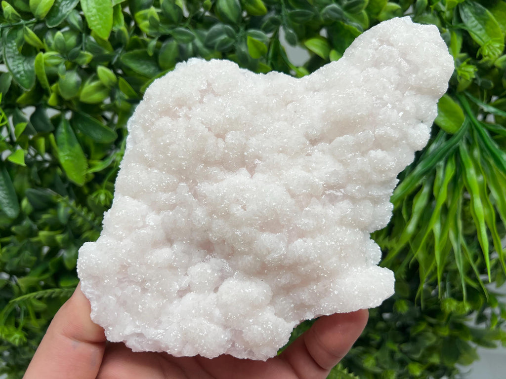 Stunning Mangano Calcite whit Galena,natural minerals souvenir crystal,collection stone,rare minerals,gift,Calcite ,Borieva mine,Bulgaria