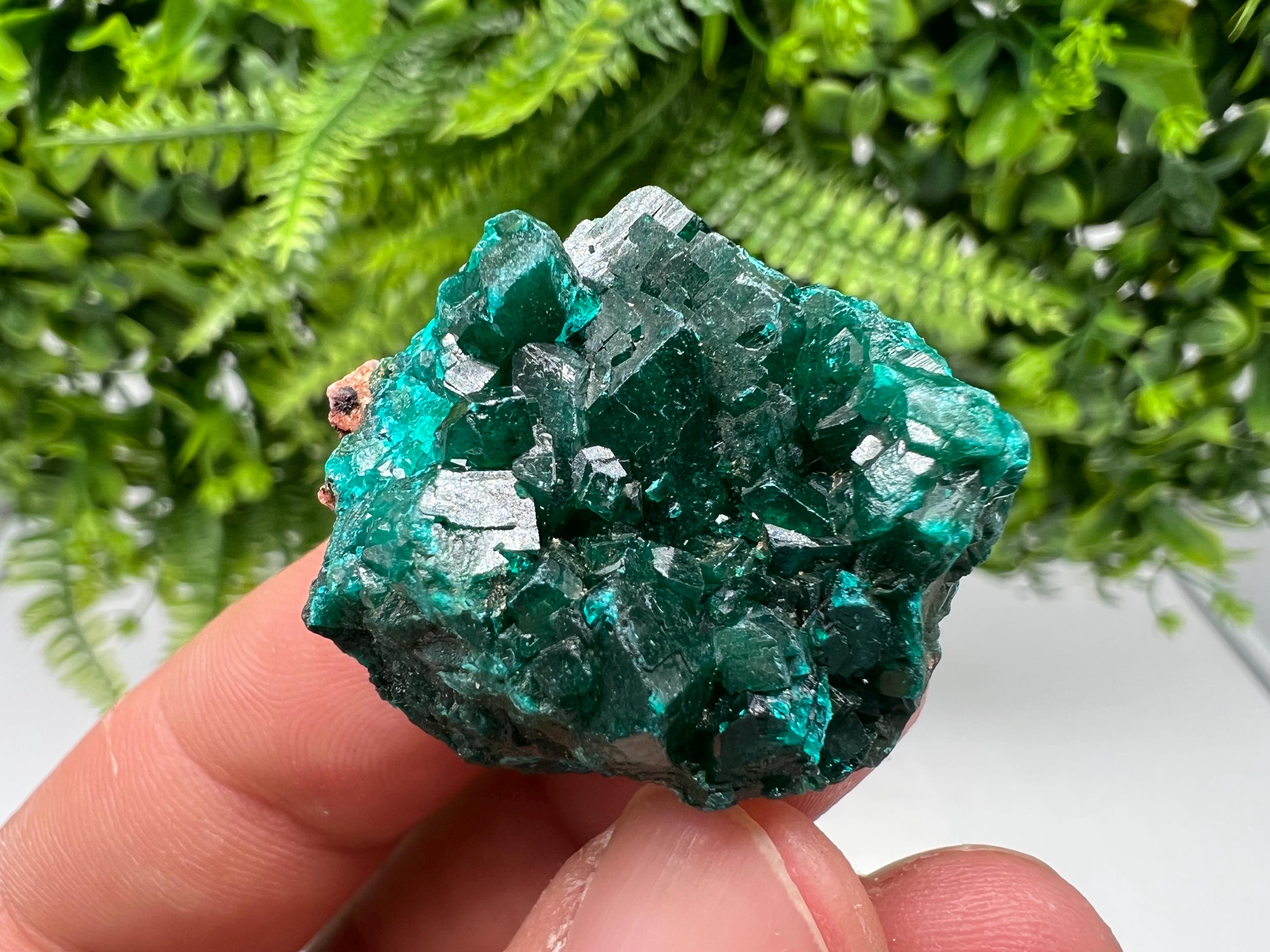 Stunning Green Dioptase from Sanda Hills,Mindouli,Pool Department,Mindouli District,Congo,green Dioptase,Dioptas Crystal,Dioptase collecting