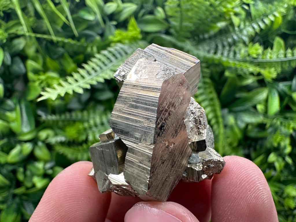 Rare Floating Pyrite Cluster - Borieva Mine - Home Decor Crystal