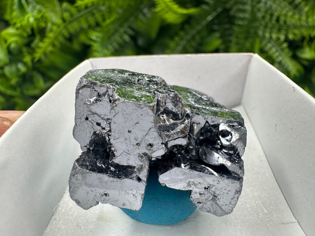 Shiny Galena Cluster: Borieva Mine, Madan, Bulgaria