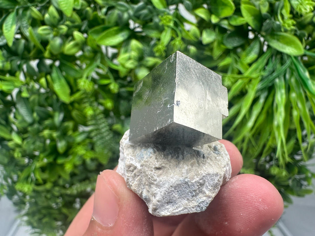 Large Pyrite cubes on Matrix,Gold,Cube PYRITE, Navajun, La Rioja,SPAIN,natural Pyrite shiny Pyrite home decor stone gift minerals,collectibl