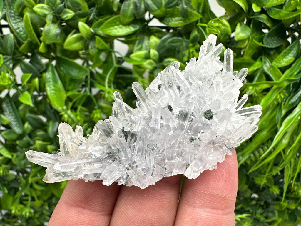 Chlorite Quartz Crystal Cluster - Borieva Mine, Bulgaria