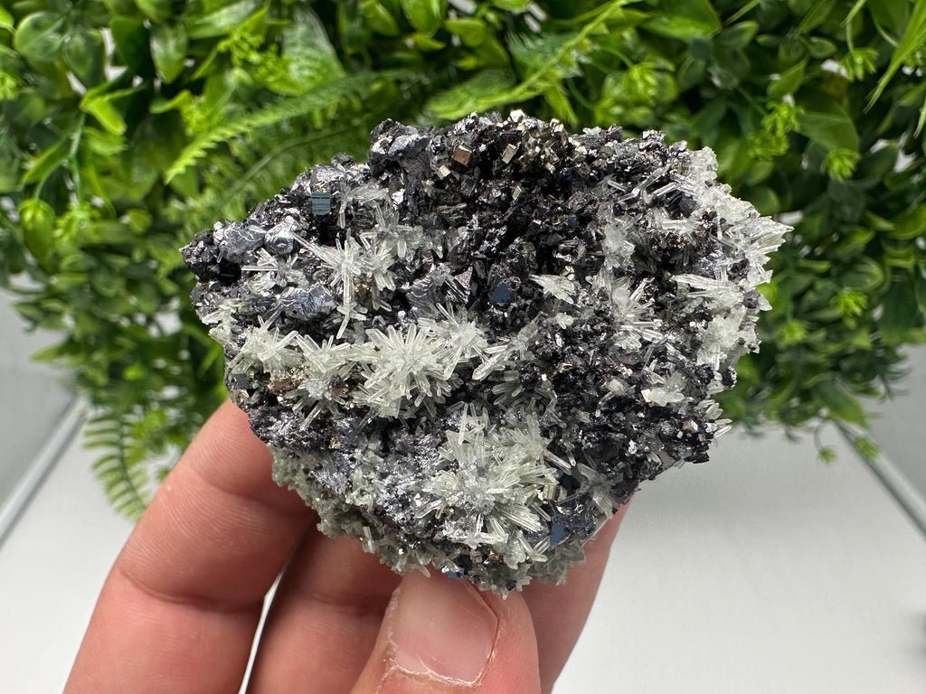 Pyrite on Green Quartz, Rare Mineral Specimen, Bulgaria