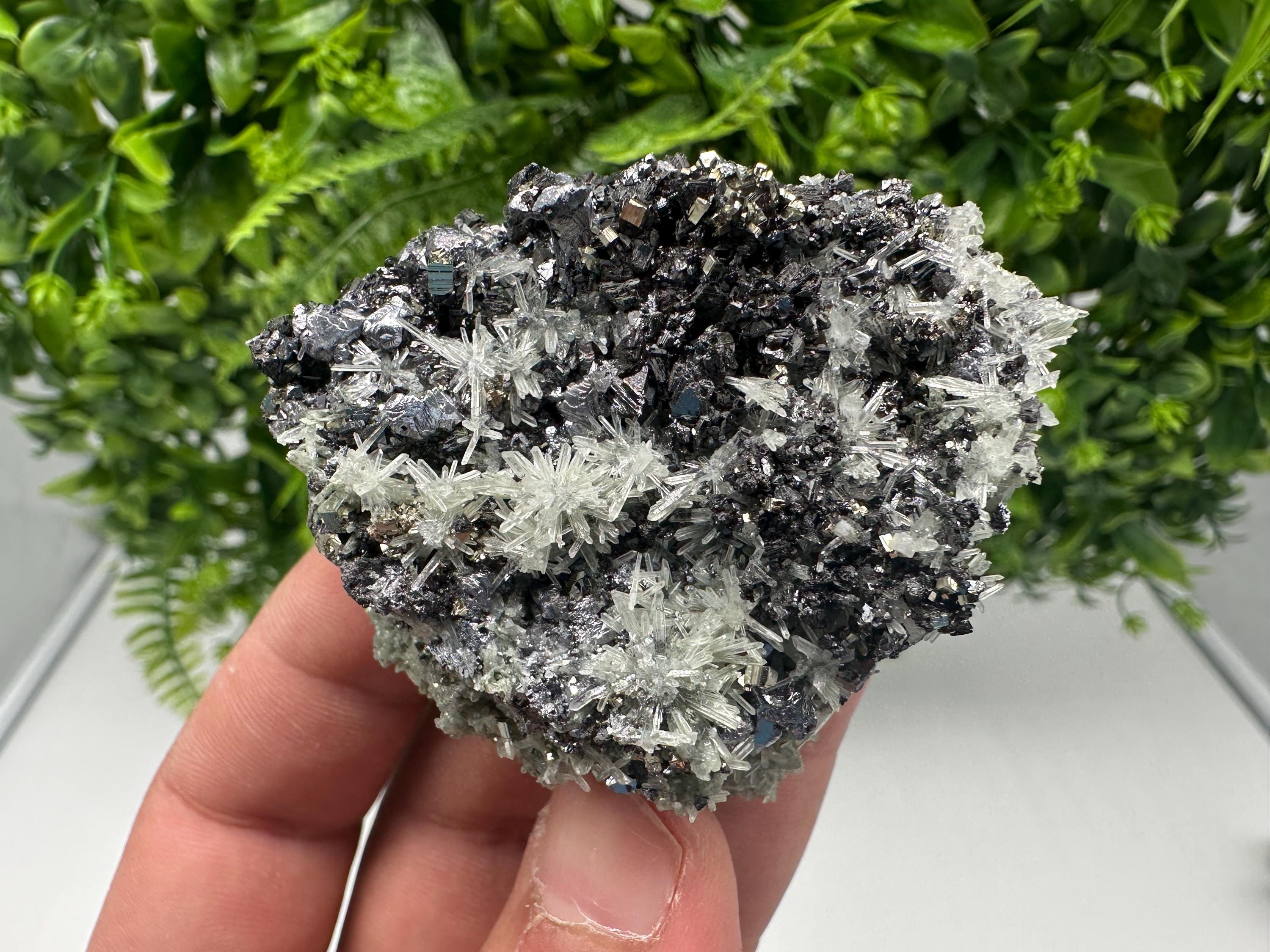 Pyrite on Green Quartz, Rare Mineral Specimen, Bulgaria