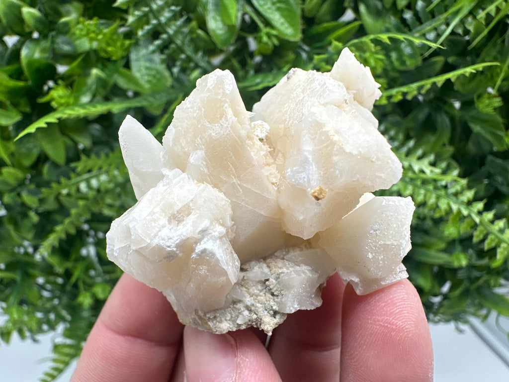 Calcite on Aragonite: Djurcovo Mine, Bulgaria Crystal