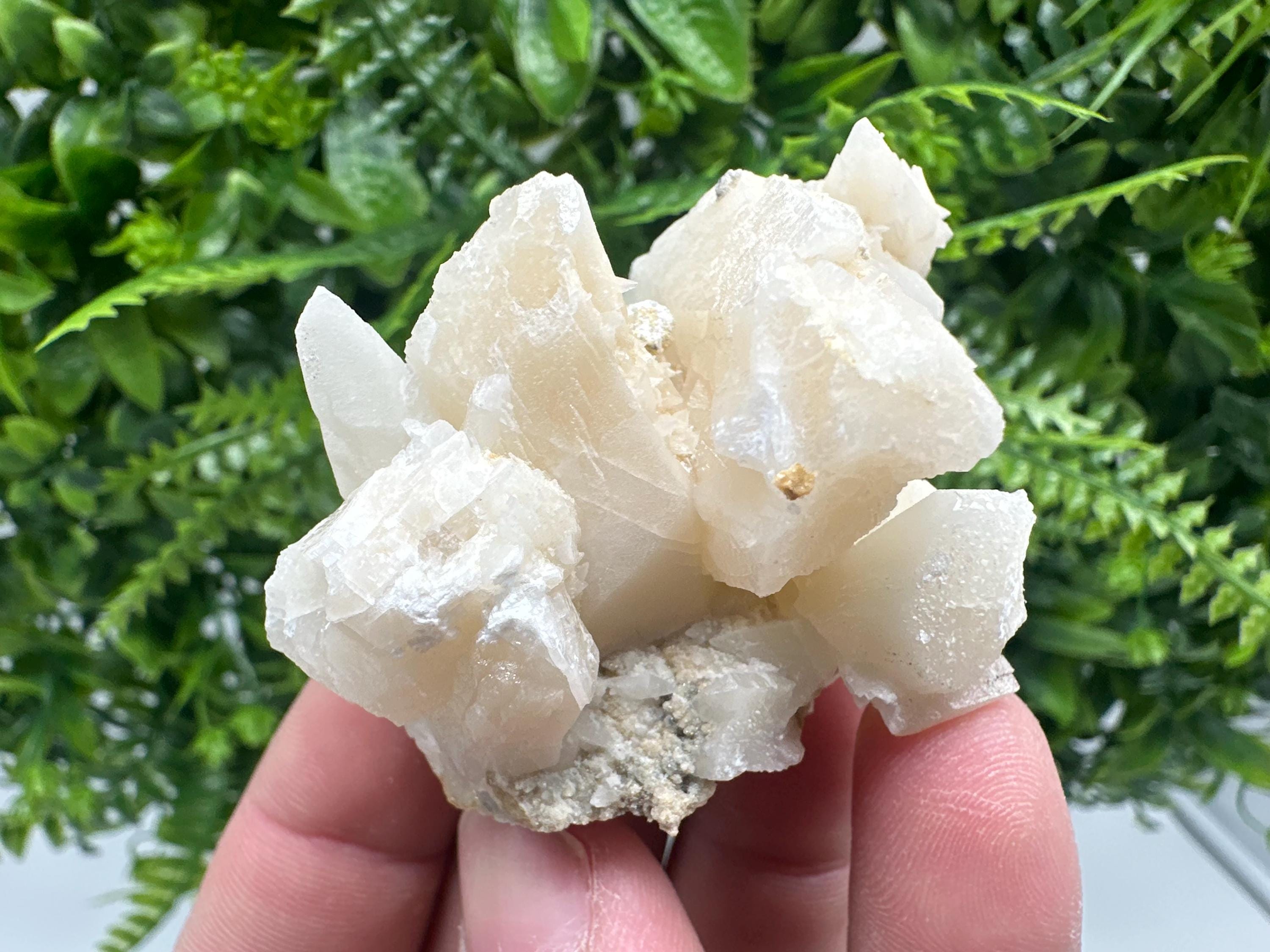 Calcite on Aragonite: Djurcovo Mine, Bulgaria Crystal