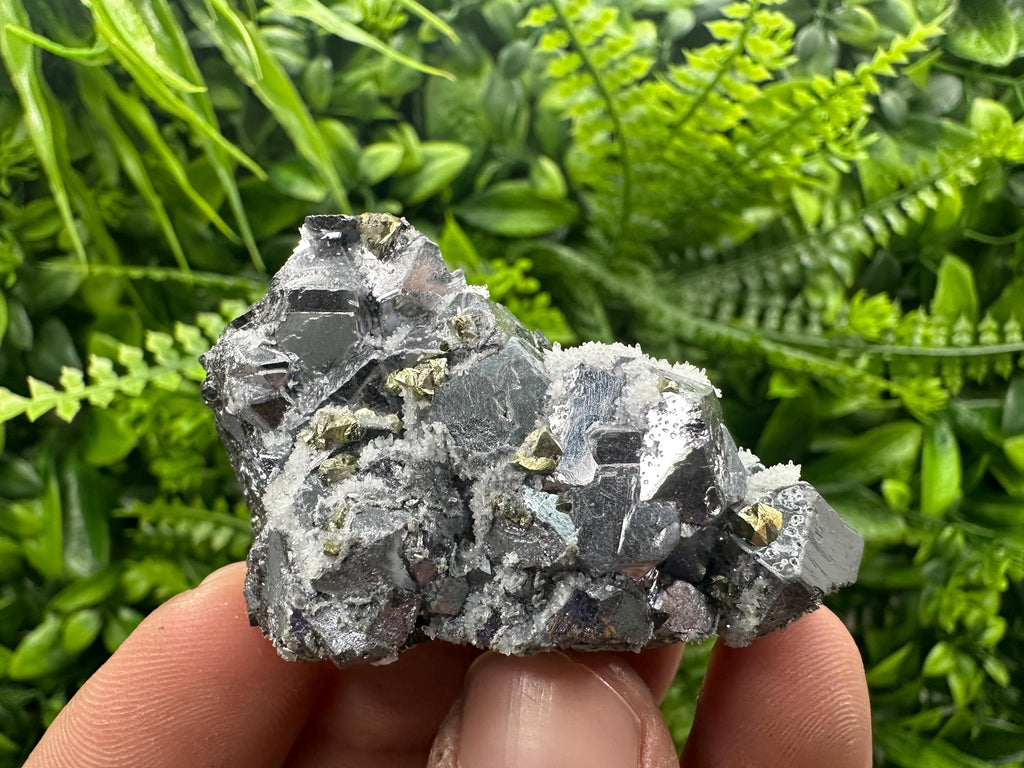 Galena with Chalcopyrite and Quartz, Krushev dol Mineral Specimen