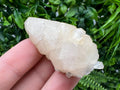 Calcite on Green Quartz: Djurcovo Mine, Bulgaria Healing Crystal