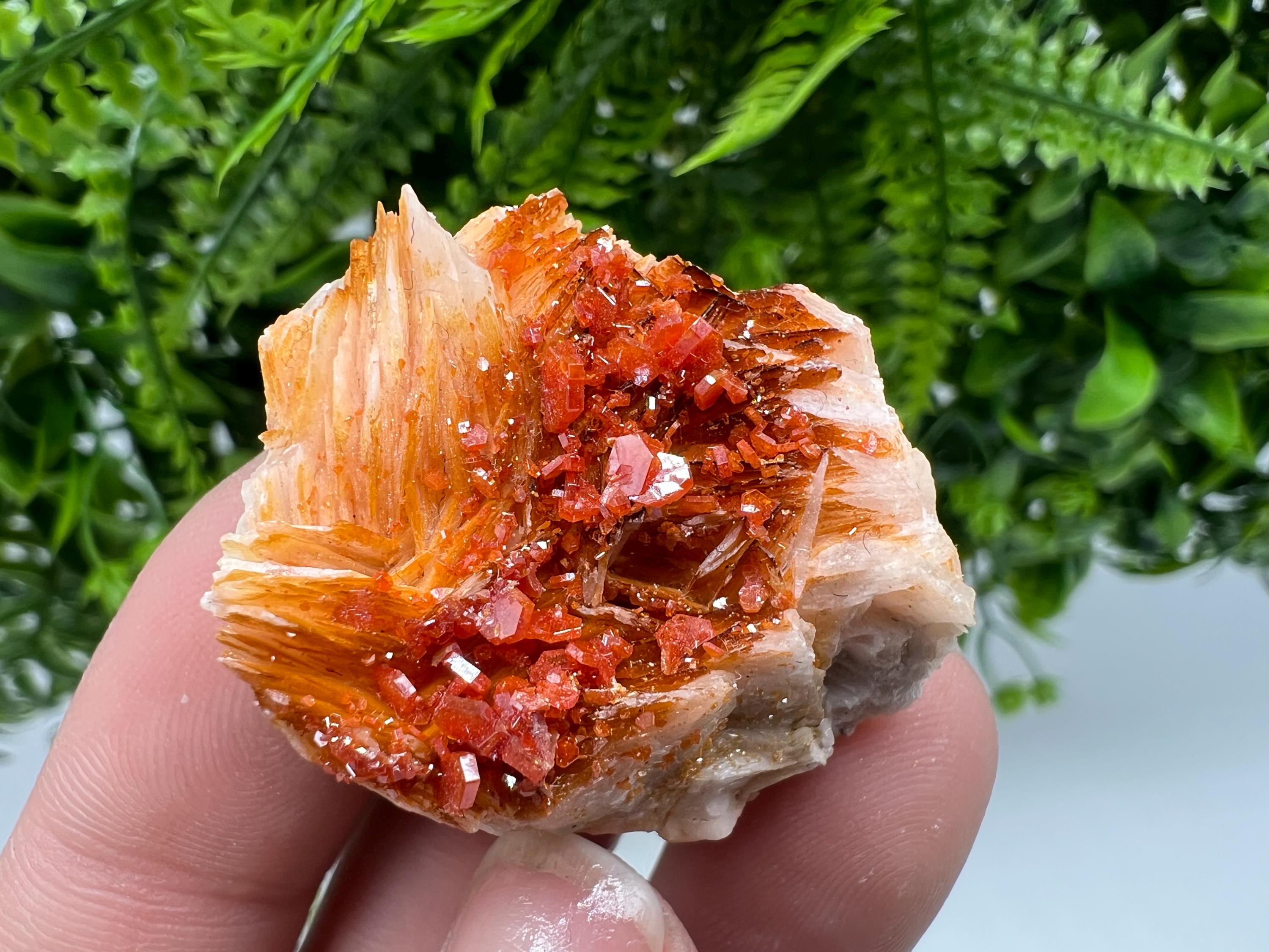 Red Vanadinite on Barite from Marocco,crystal minerals Speciment cluster Vanadinite crystal Vanadinite Geology Vanadinite cluster minerals