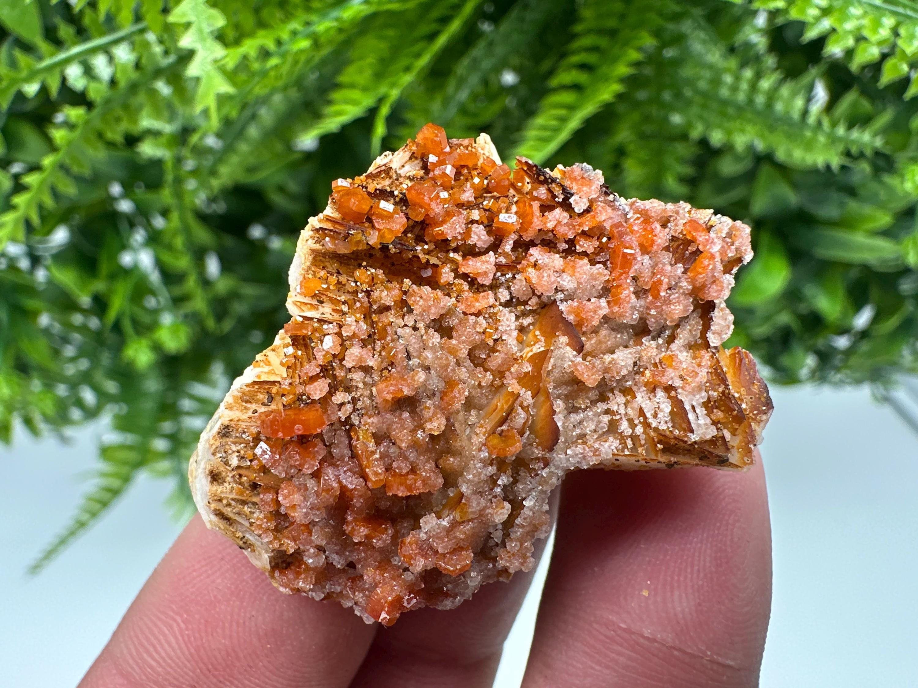 Red Vanadinite on Barite, Morocco Mineral Specimen Cluster