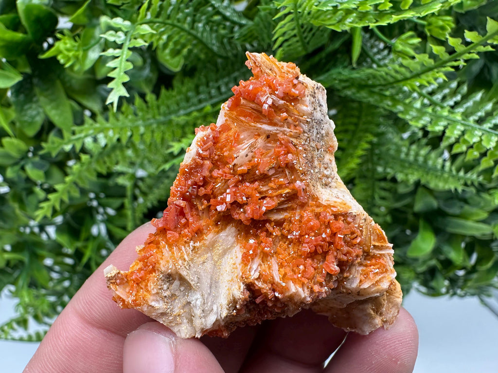 Red Vanadinite Crystal Cluster on Matrix, Morocco Mineral Specimen