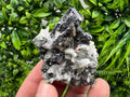 Galena Chalcopyrite on Calcite and Quartz, Natural Mineral Collection, Borieva Bulgaria