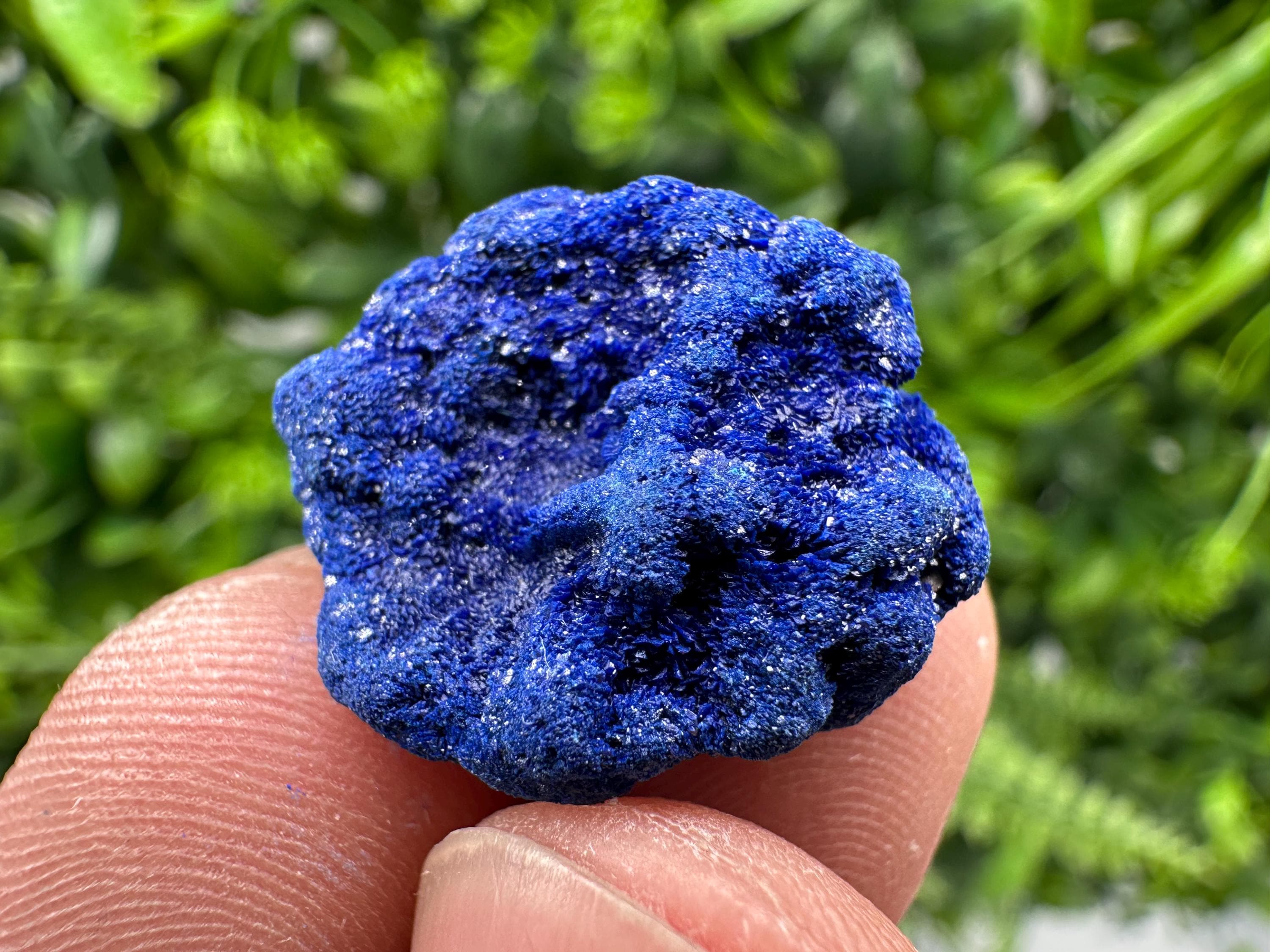 Crystallized Azurite-Kerrouchen,Morocco-Blue Azurite Specimen-High Quality Blue Azurite-Azurite Mineral Specimen, gemmy,lustrous of Azurite