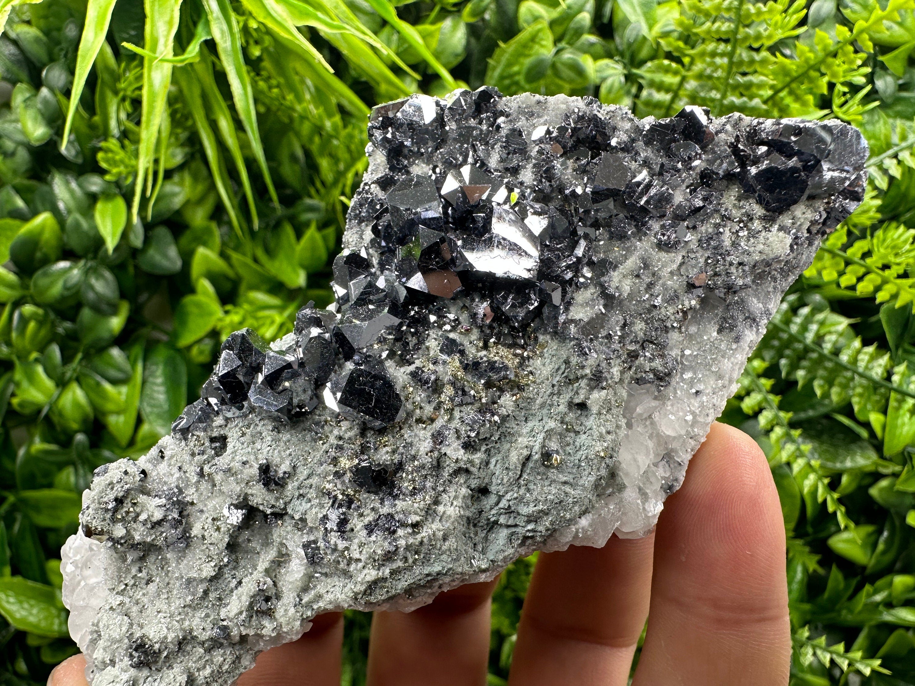 Skeletal Galena on Quartz with Pyrite - Bulgaria Crystal Decor