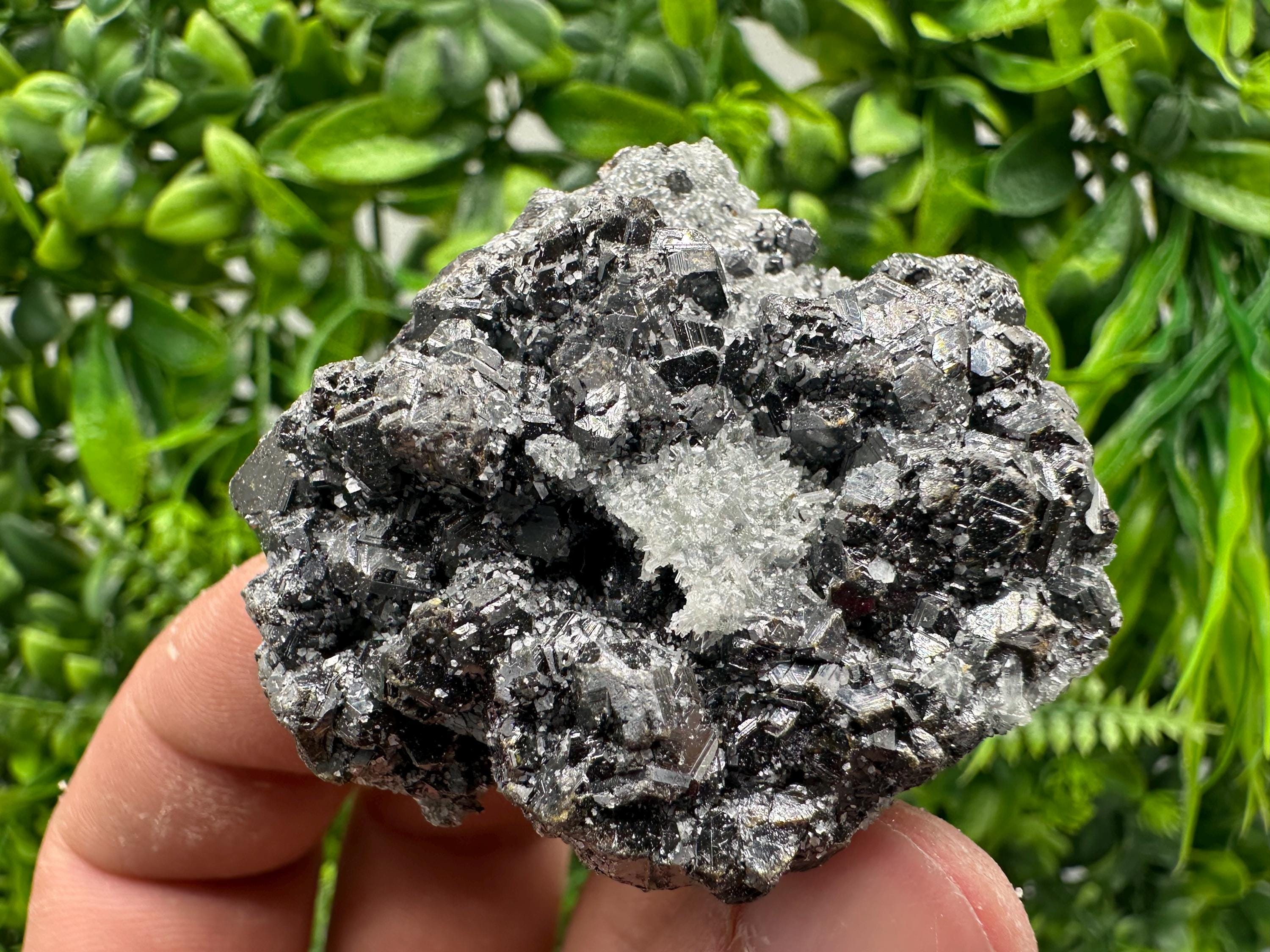 Sphalerite on Green Quartz, Madan Bulgaria Mineral Specimen