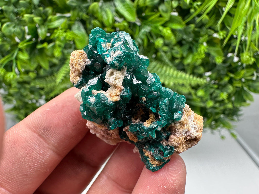 Stunning Green Dioptase from Sanda Hills,Mindouli,Pool Department,Mindouli District,Congo,green Dioptase,Dioptas Crystal,Dioptase collecting
